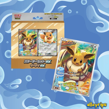 MEGA Starter Set Ex Box