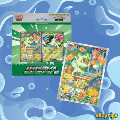 MEGA Starter Set Ex Box