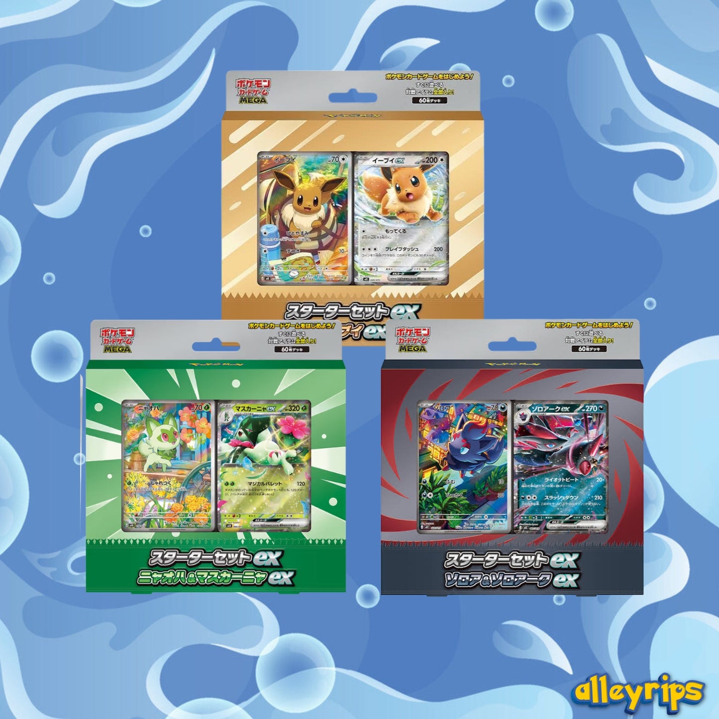 MEGA Starter Set Ex Box